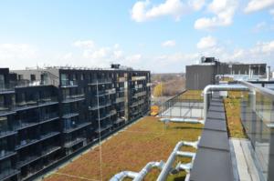 Milart Kepa Mieszczanska Inne 03