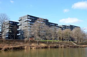 Milart Kepa Mieszczanska WB 01