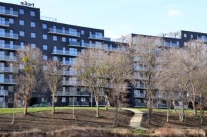 Milart Kepa Mieszczanska ZT 02