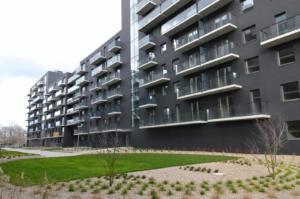 Milart Kepa Mieszczanska ZT 03